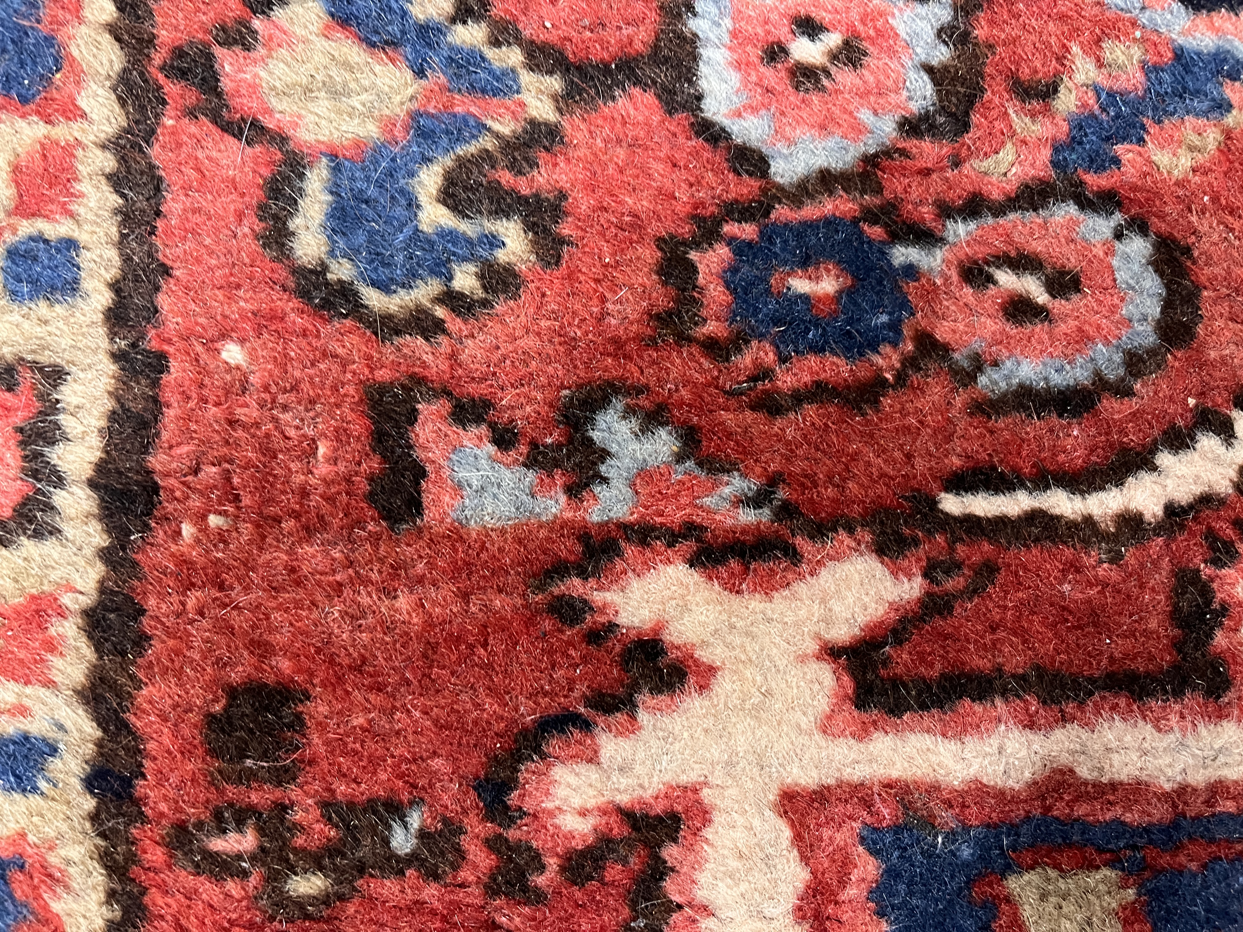 Loaded image